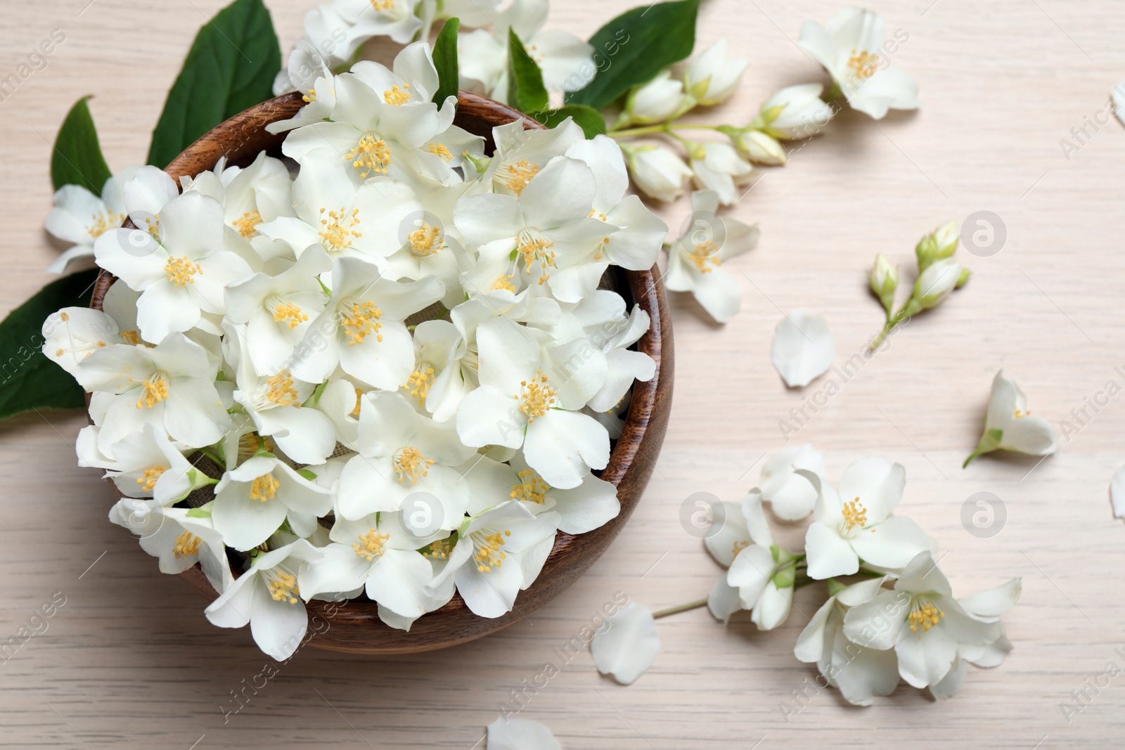 Photo of Beautiful jasmine flowers on white wooden table, flat lay