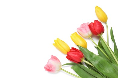 Photo of Beautiful colorful tulips on white background, top view