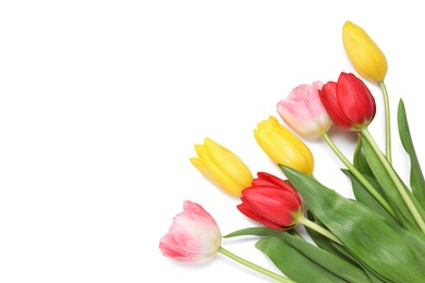 Beautiful colorful tulips on white background, top view