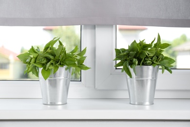 Photo of Fresh green basil in pots on white window sill