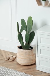 Photo of Stylish room interior with beautiful potted cactus and chest of drawers