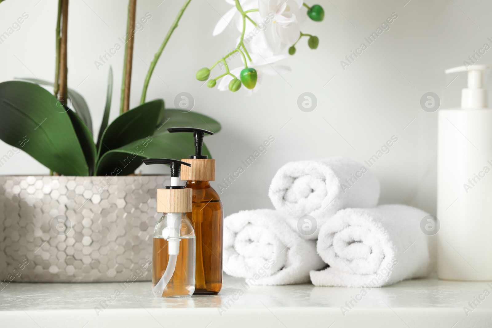 Photo of Bottles with dispenser caps, houseplant and towels on white table in bathroom