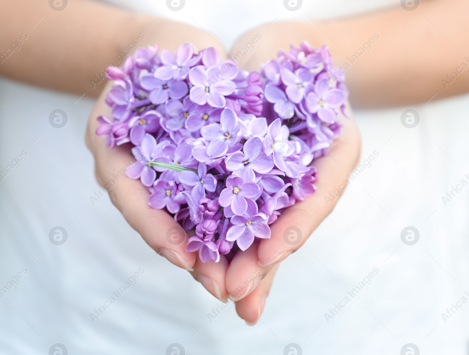 Photo of Young woman with blossoming lilac outdoors on spring day