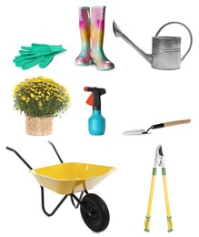 Image of Set with different gardening tools on white background