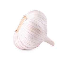 Head of fresh garlic isolated on white