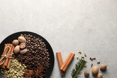 Photo of Different spices, nuts and fir branch on light gray textured table, flat lay. Space for text