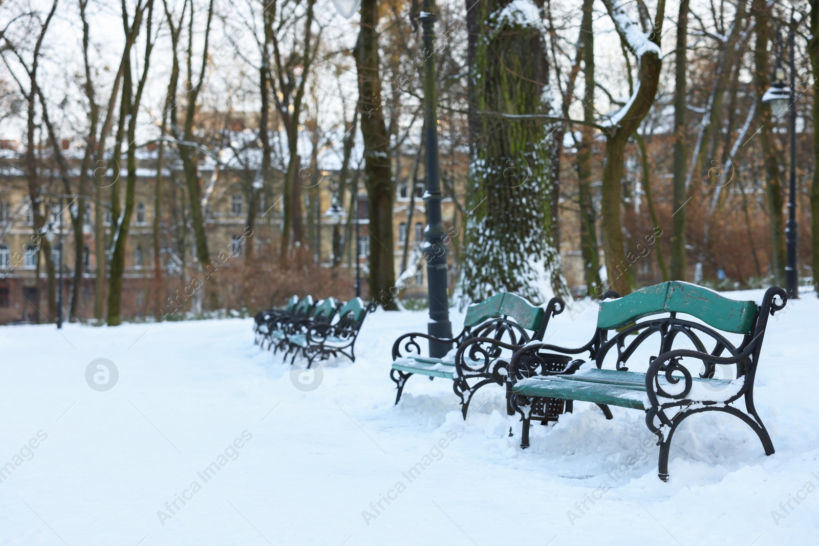 Photo of Green benches, trees and buildings in snowy park