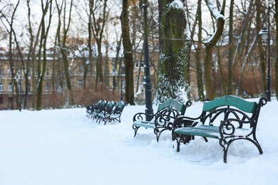 Green benches, trees and buildings in snowy park