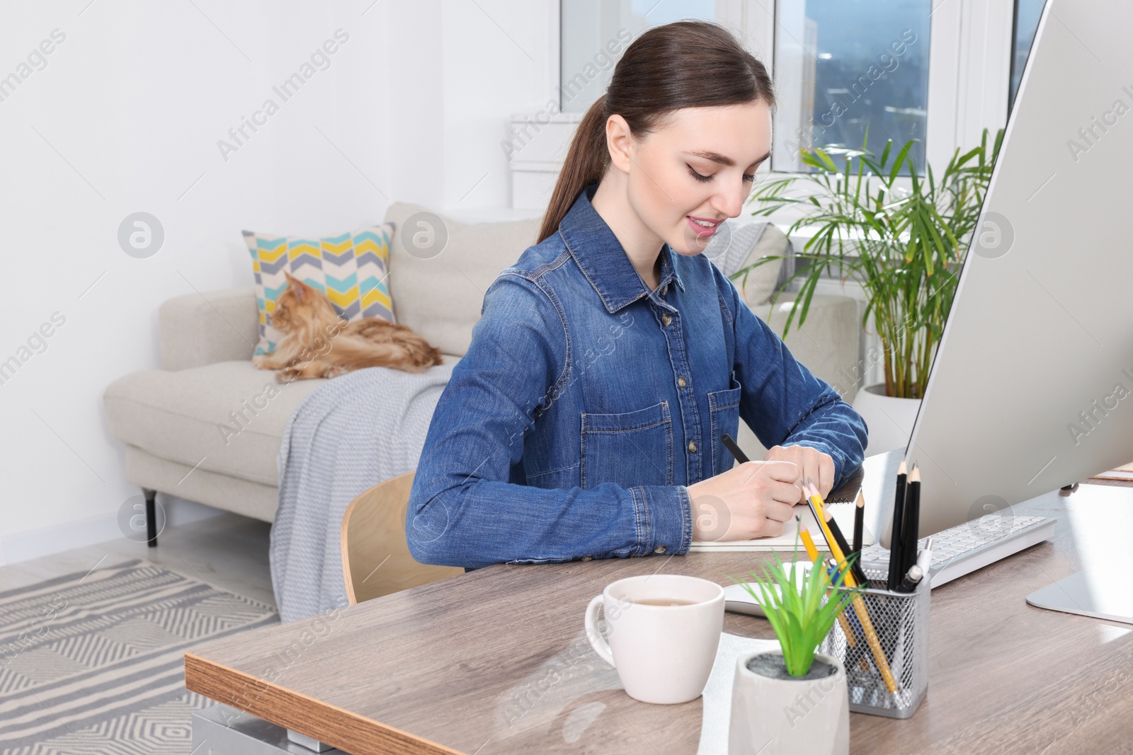 Photo of Woman working at desk and cat lying on sofa in room. Home office