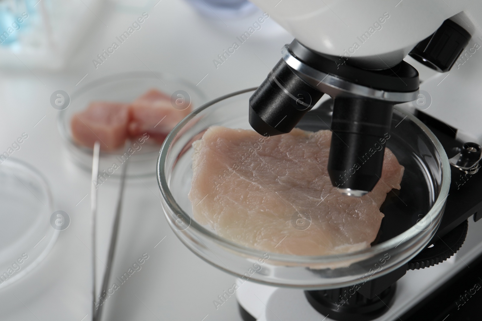 Photo of Petri dish with piece of raw cultured meat under microscope in laboratory, closeup