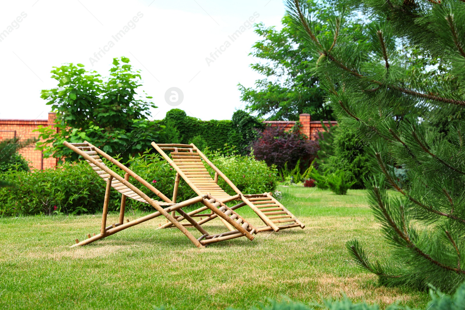 Photo of Wooden deck chairs in beautiful garden on sunny day