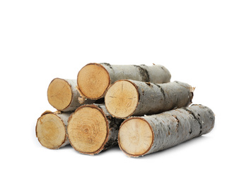 Photo of Pile of cut firewood isolated on white