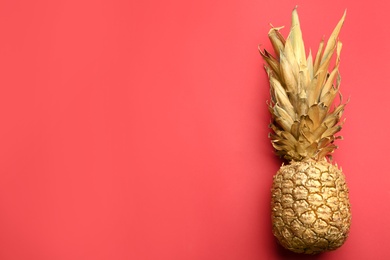 Photo of Golden pineapple on red background, top view with space for text. Creative concept