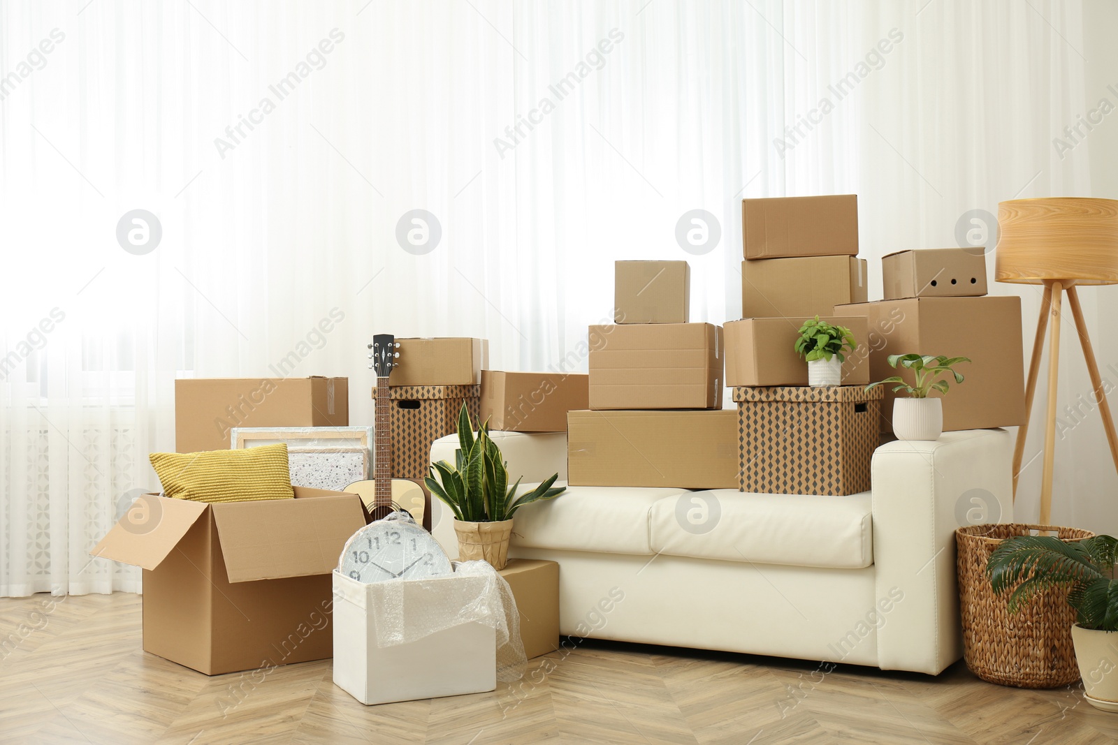 Photo of Cardboard boxes, potted plants and household stuff indoors. Moving day