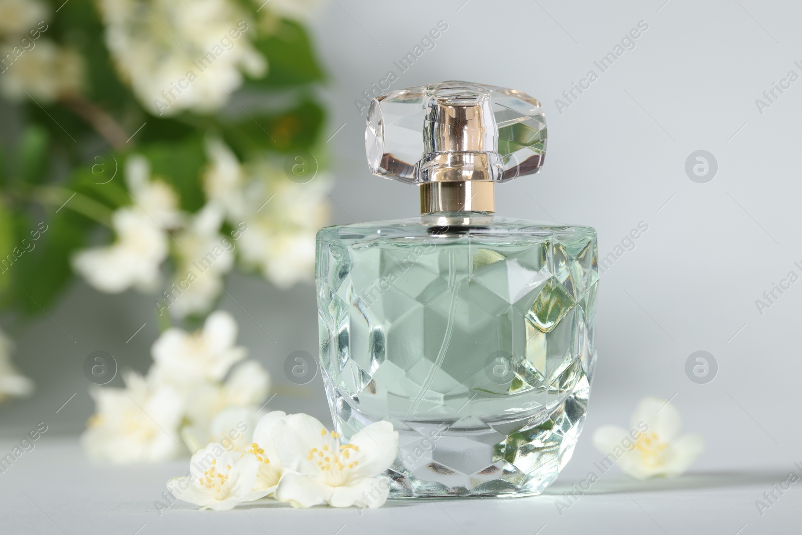 Photo of Aromatic perfume in bottle and beautiful jasmine flowers on grey background, closeup