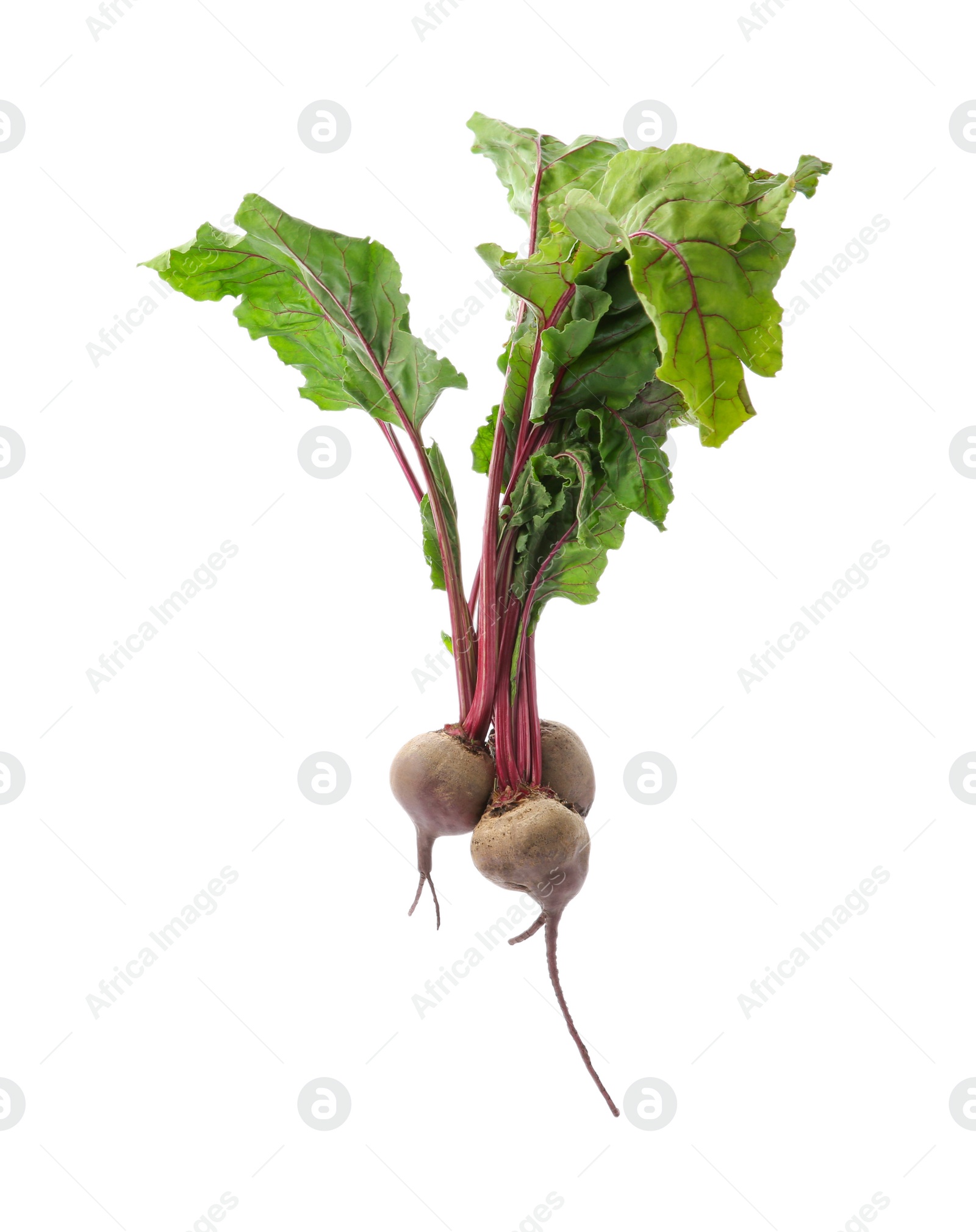 Photo of Bunch of fresh beets with leaves on white background