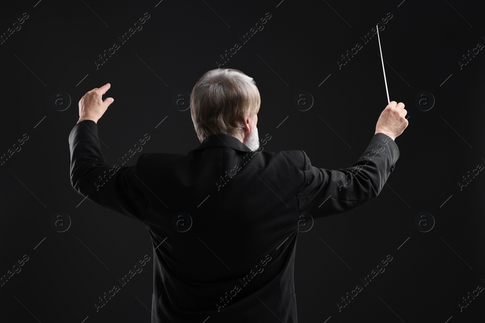 Photo of Professional conductor with baton on black background, back view