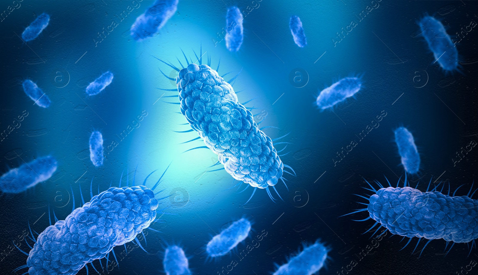 Image of Bacteria colony under microscope, illustration. Laboratory research