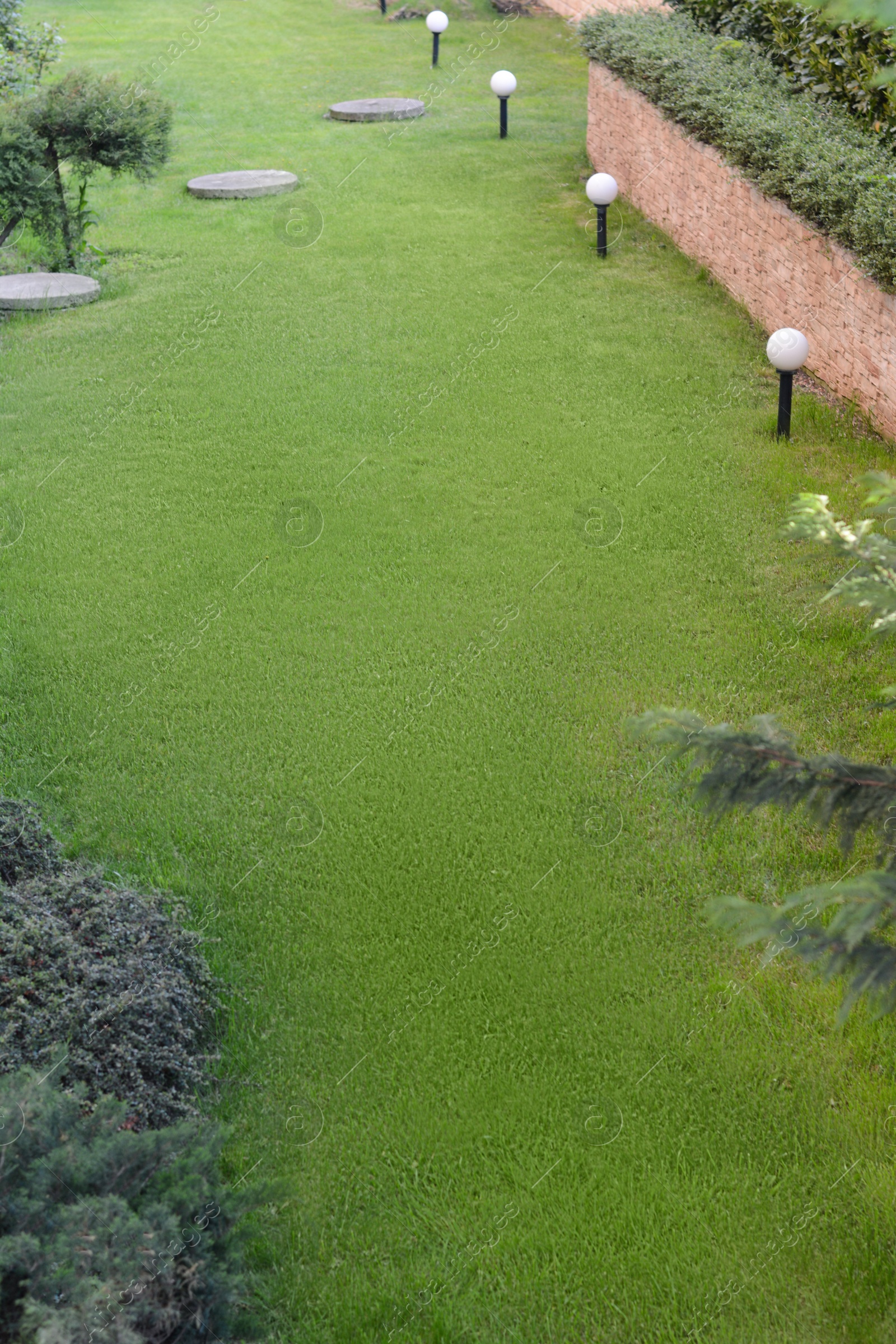 Photo of Beautiful lawn with green grass and shrubbery outdoors