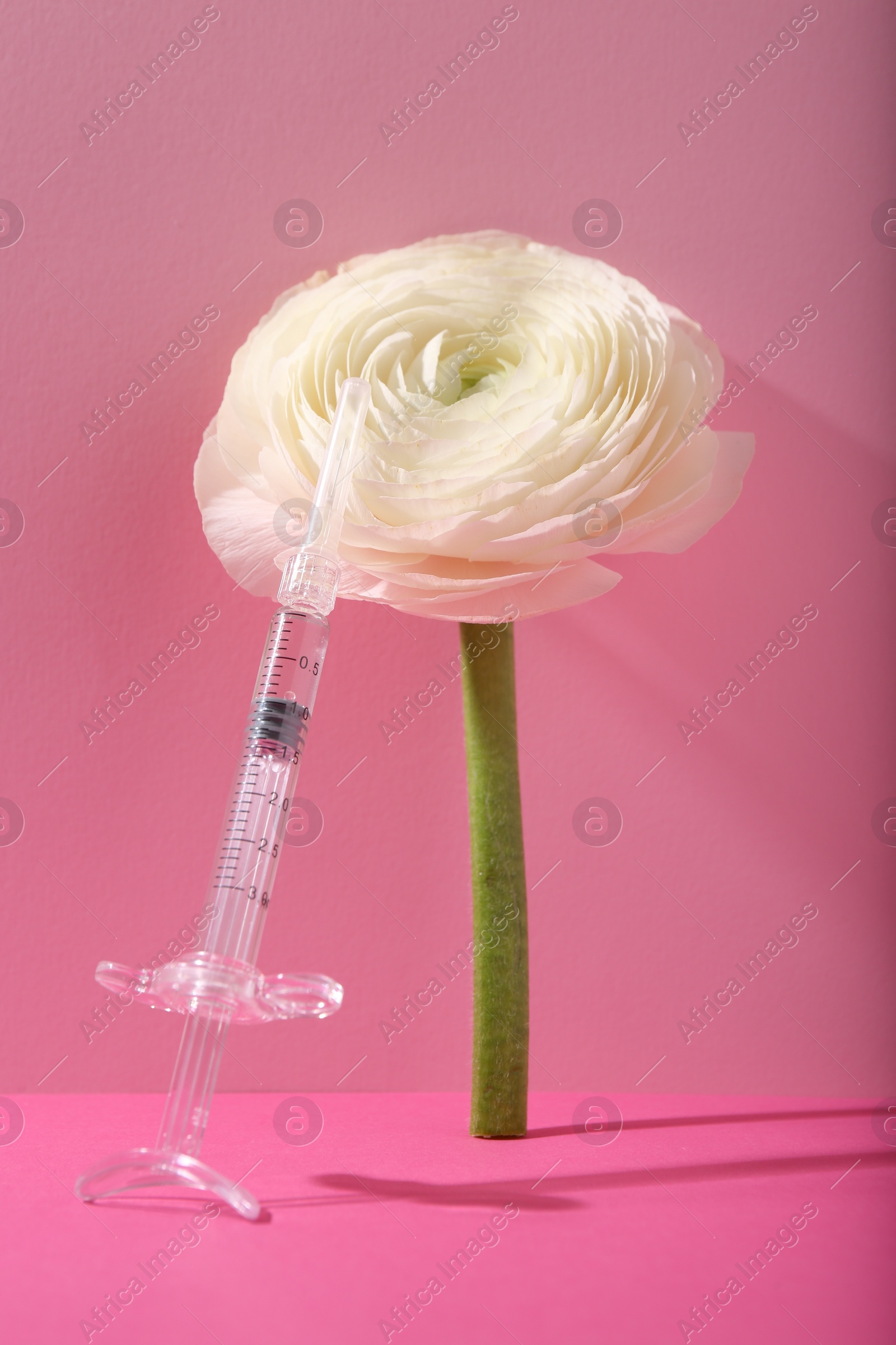 Photo of Cosmetology. Medical syringe and ranunculus flower on pink background