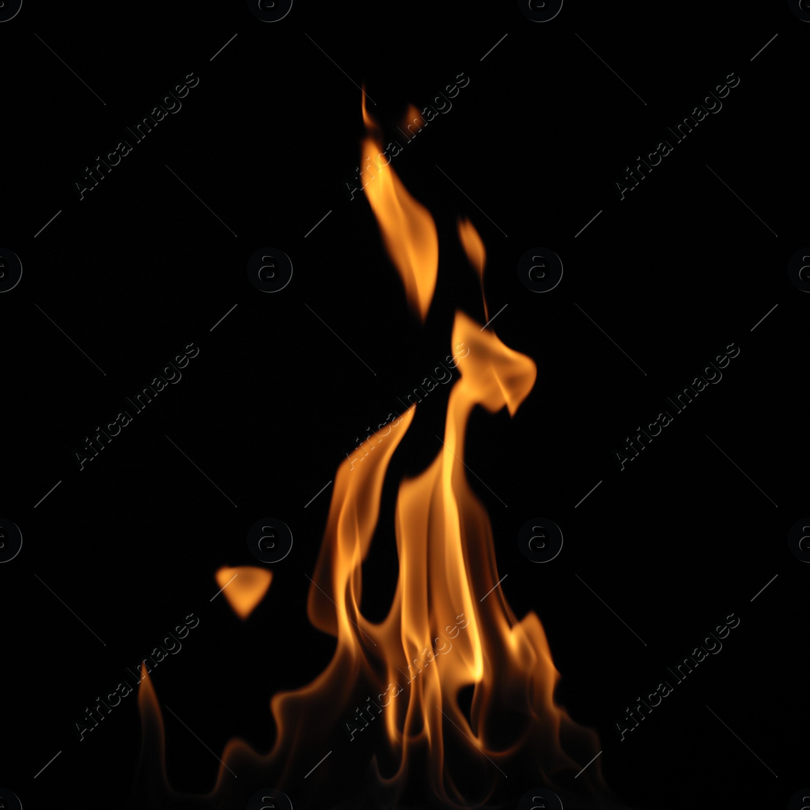 Photo of Beautiful bright fire flames on black background