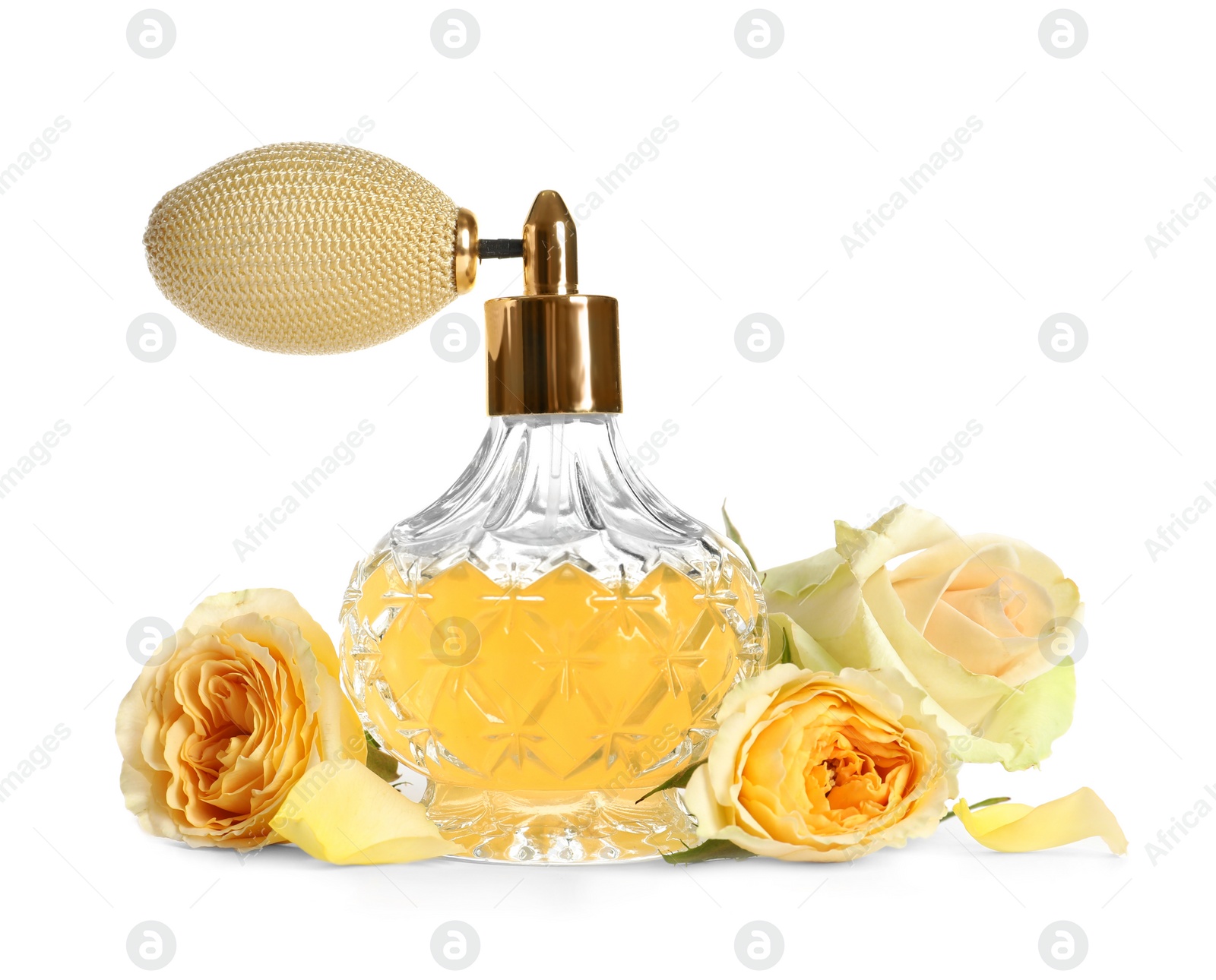 Photo of Bottle of luxury perfume and beautiful flowers isolated on white