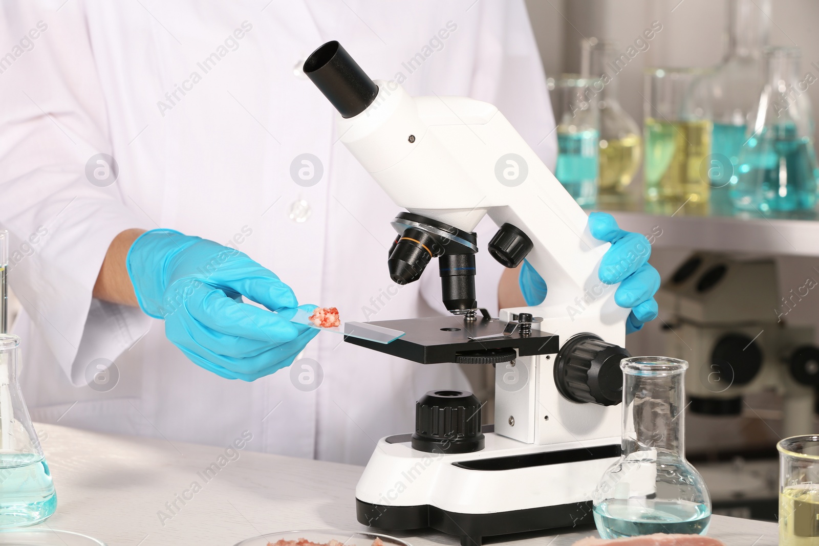 Photo of Scientist inspecting forcemeat sample with microscope in laboratory