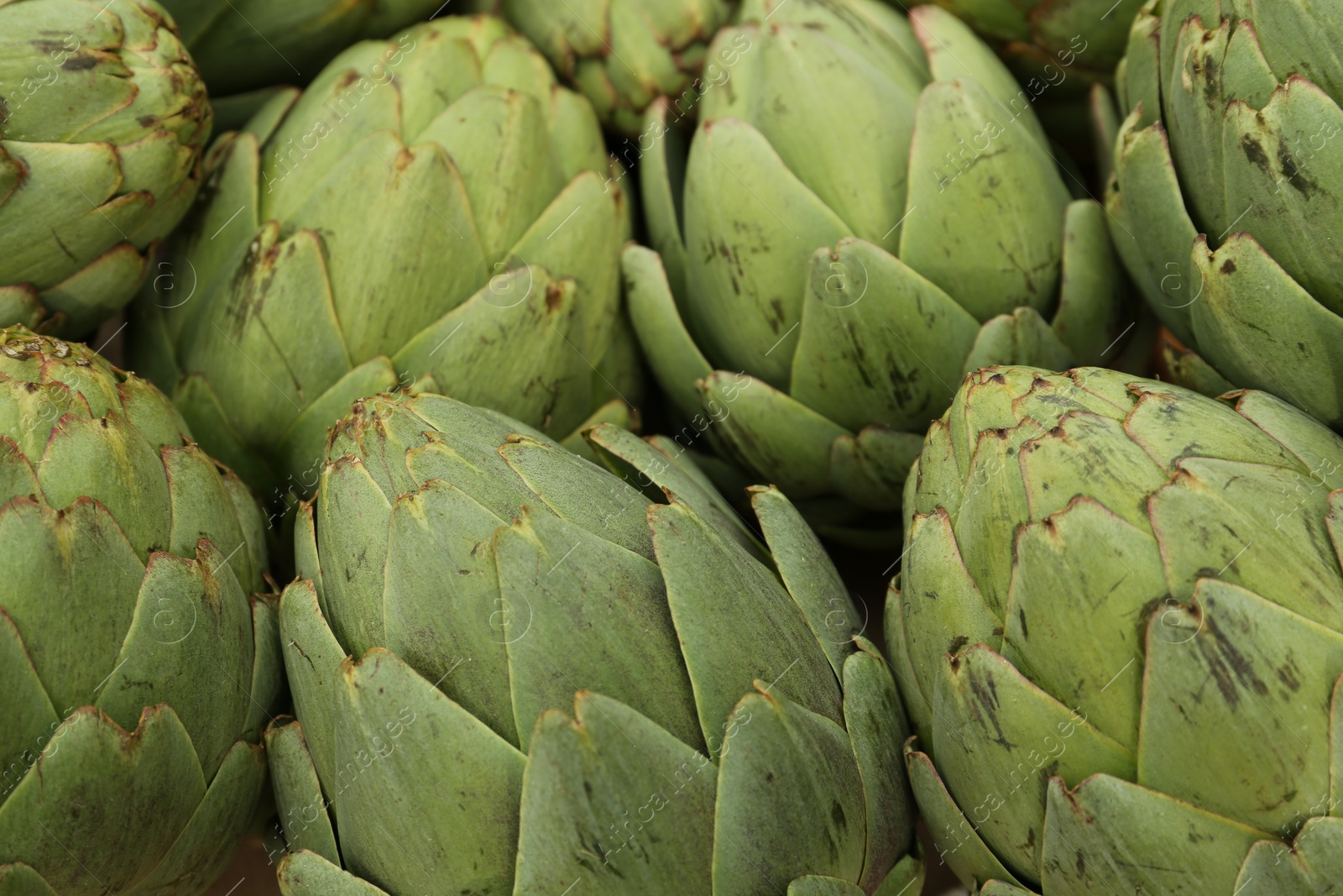 Photo of Many fresh raw artichokes as background, closeup