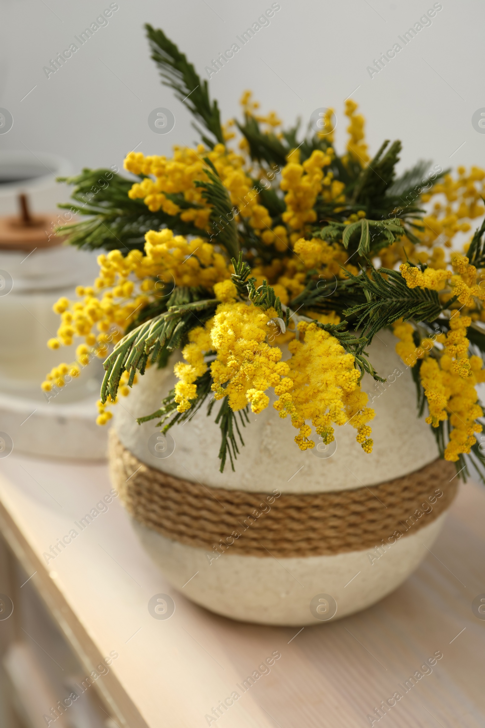 Photo of Beautiful mimosa flowers in vase on wooden table