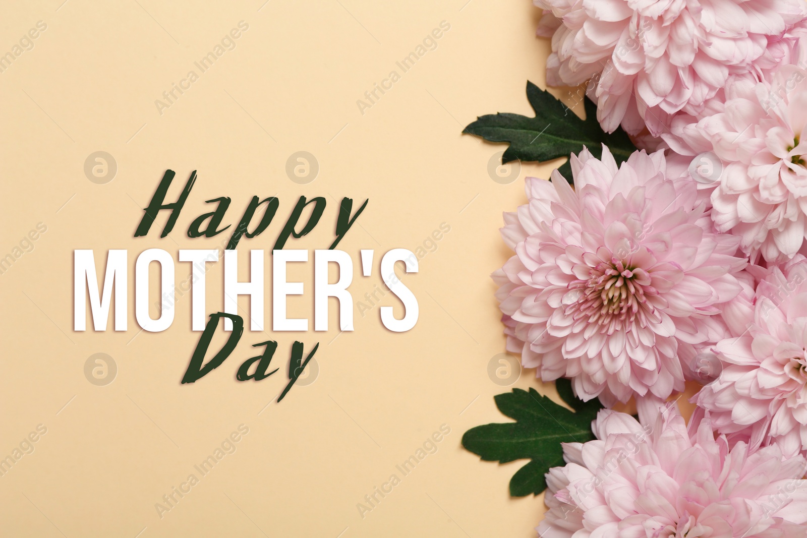 Image of Happy Mother's Day. Greeting card with beautiful chrysanthemum flowers on beige background, flat lay