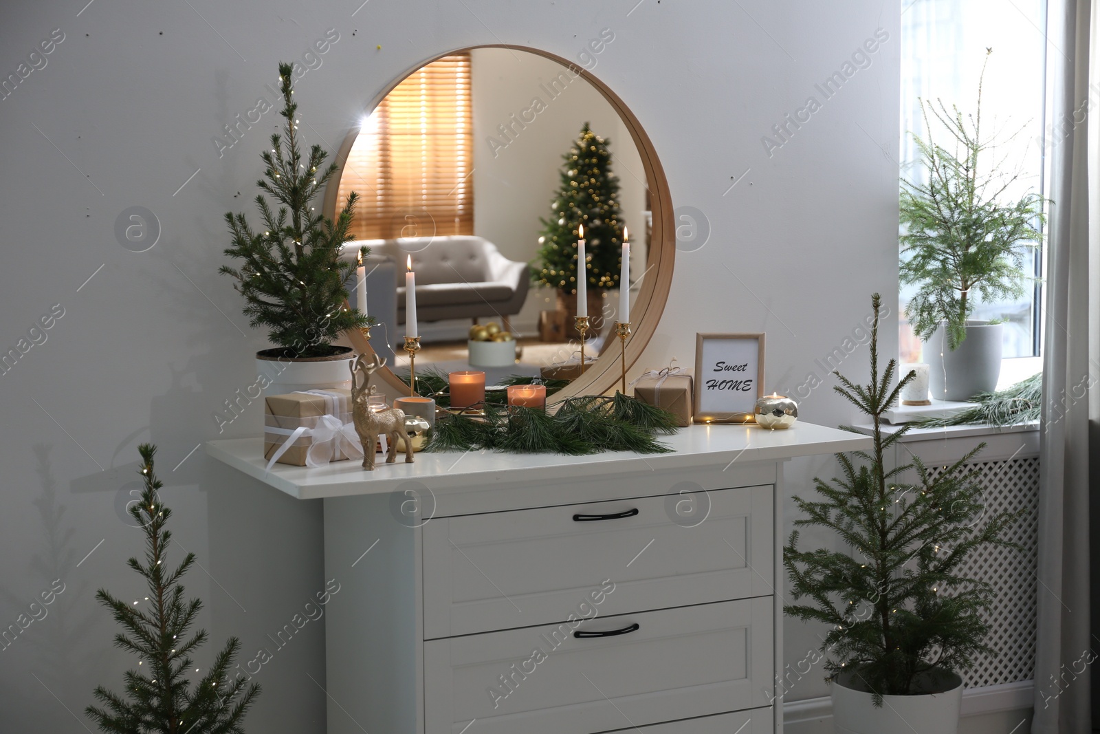 Photo of Beautiful room decorated for Christmas with potted firs. Interior design