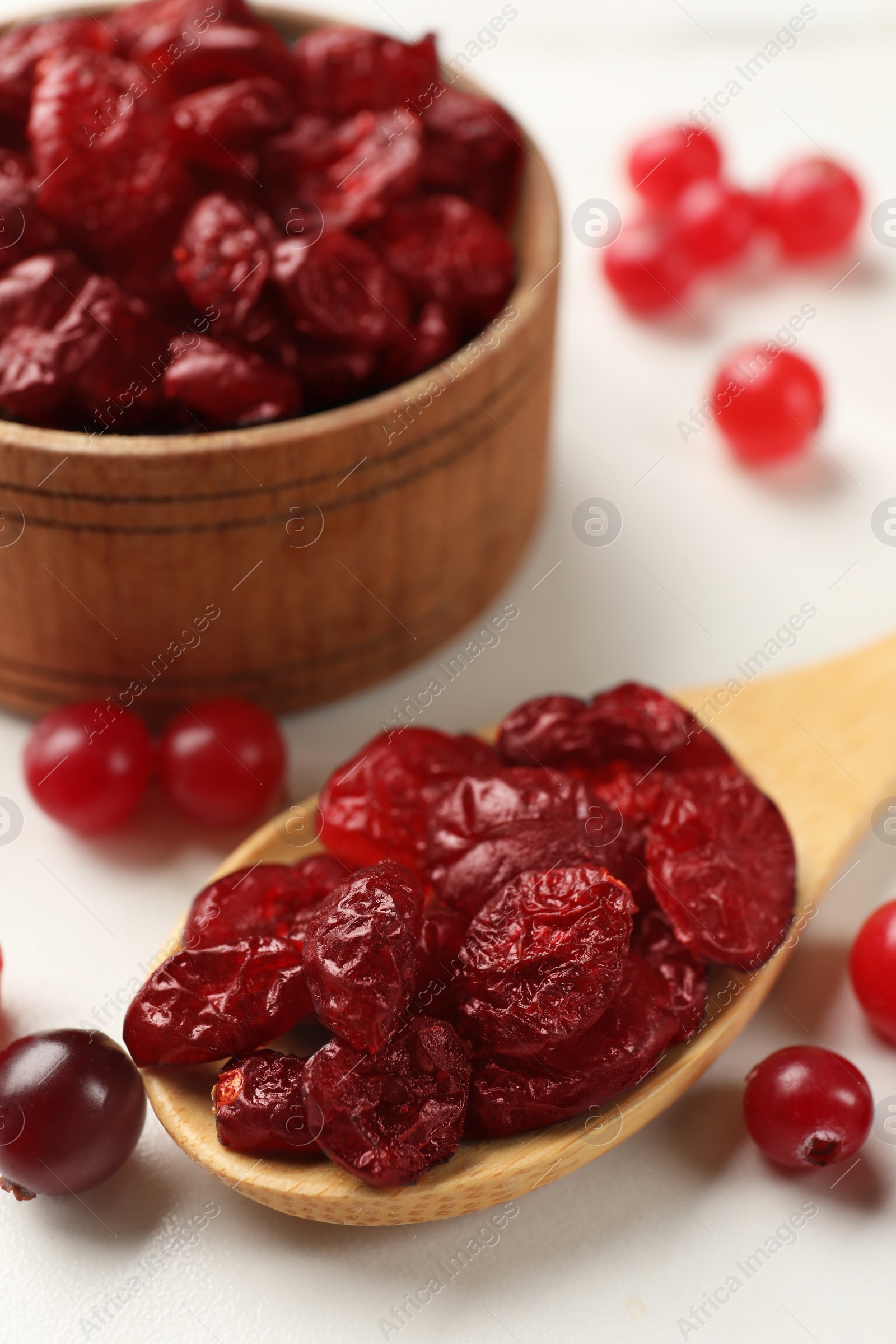 Photo of Tasty dried cranberries and fresh ones on white table, closeup