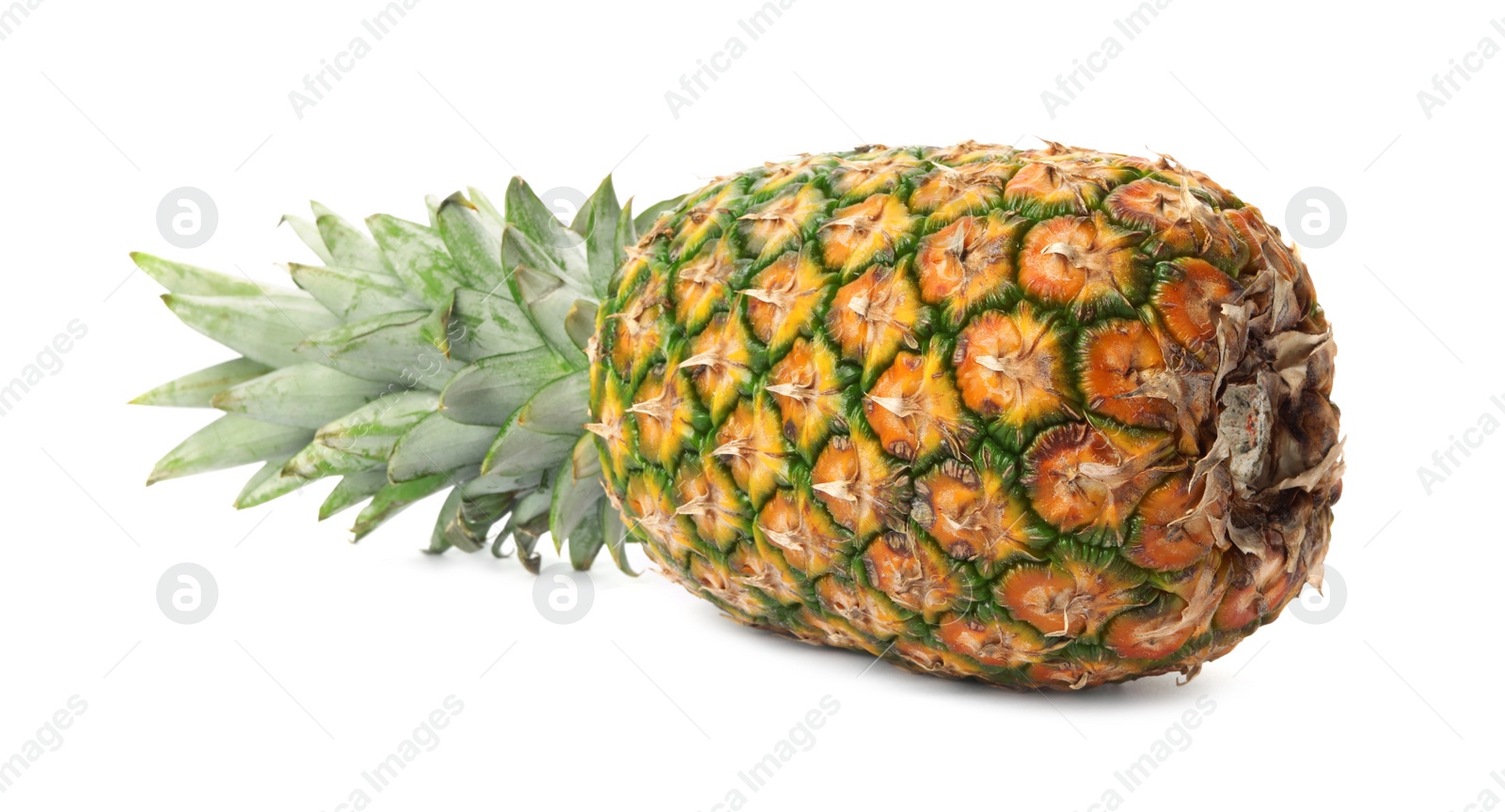 Photo of Tasty whole pineapple with leaves on white background