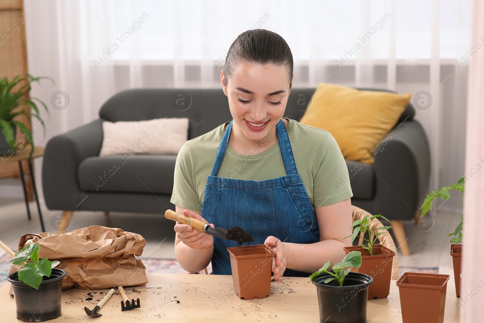 Photo of Happy woman planting seedling into pot at wooden table in room