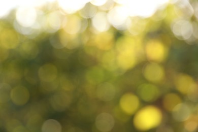 Photo of Blurred view of green trees outdoors. Bokeh effect