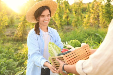 Woman and man harvesting different fresh ripe vegetables on farm