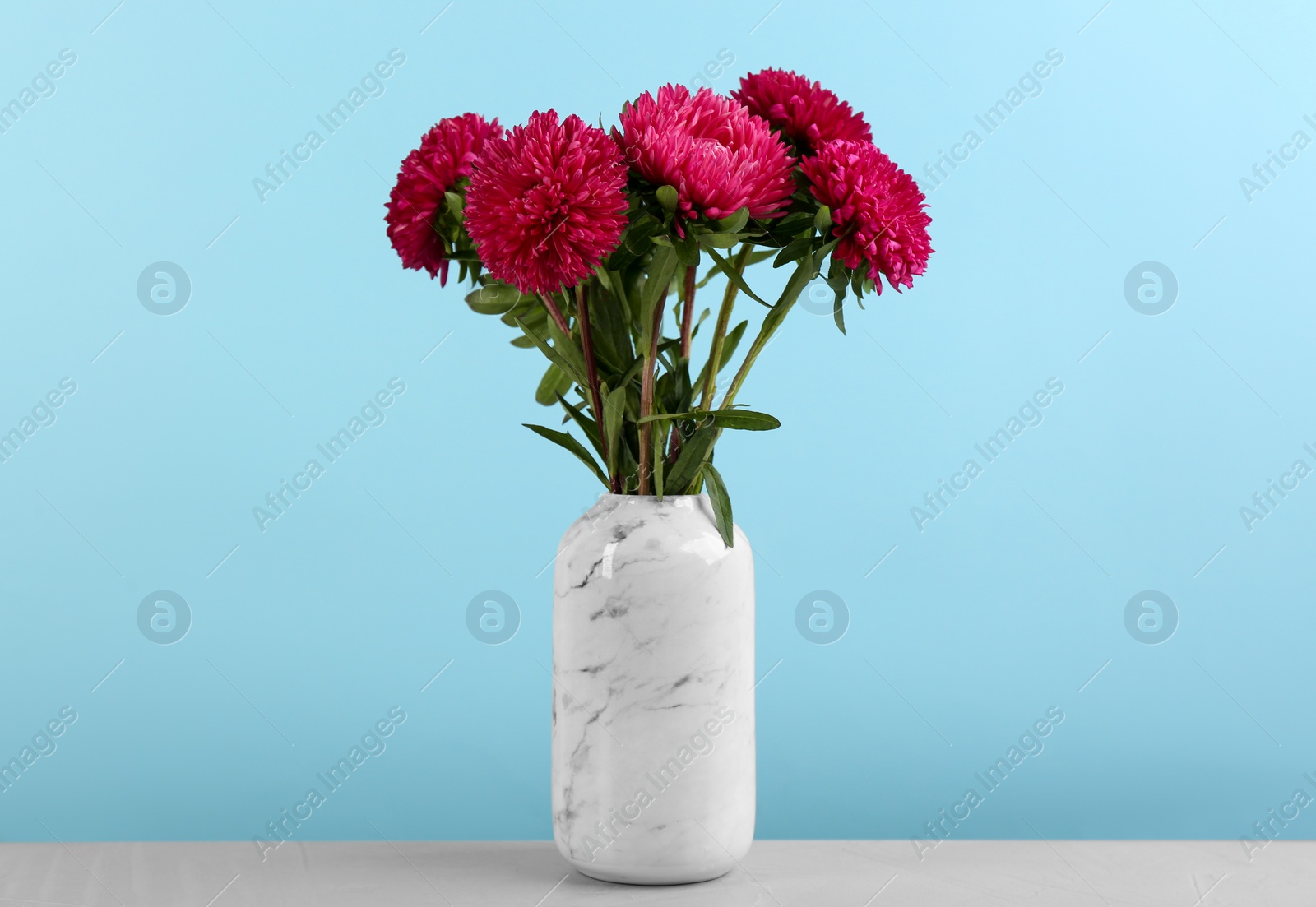 Photo of Beautiful asters in vase on table against light blue background. Autumn flowers