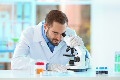 Young scientist working with microscope in laboratory. Chemical analysis