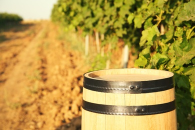 Photo of Wooden barrel standing in vineyard on sunny day. Wine production