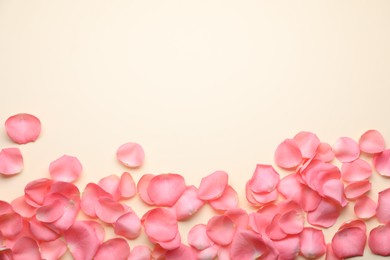 Photo of Beautiful pink rose flower petals on beige background, flat lay. Space for text