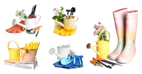 Image of Set with watering cans and different gardening tools on white background. Banner design