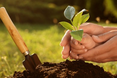 Photo of Mother and her child planting tree seedling into fertile soil, closeup