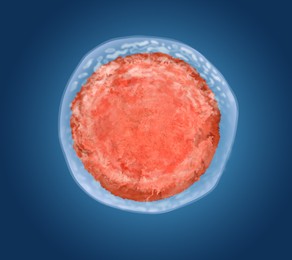 Illustration of Ovum (egg cell) on blue background, illustration