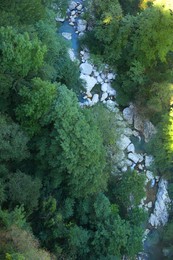 Photo of Beautiful landscape of green forest with mountain river, above view
