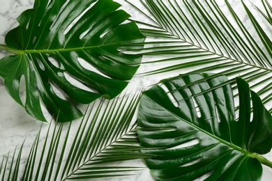 Photo of Beautiful monstera and palm leaves on white marble background, flat lay. Tropical plants
