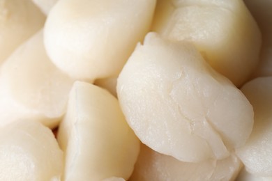 Photo of Fresh raw scallops as background, closeup view