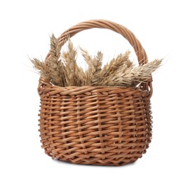 Photo of Wicker basket with ears of wheat on white background