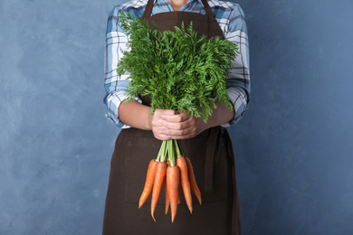 Photo of Woman holding ripe carrots on blue background, closeup