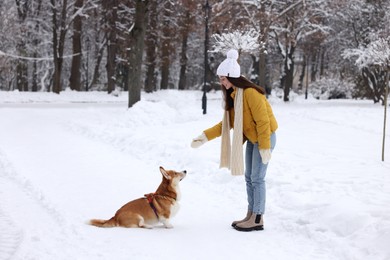 Photo of Woman playing with adorable Pembroke Welsh Corgi dog in snowy park