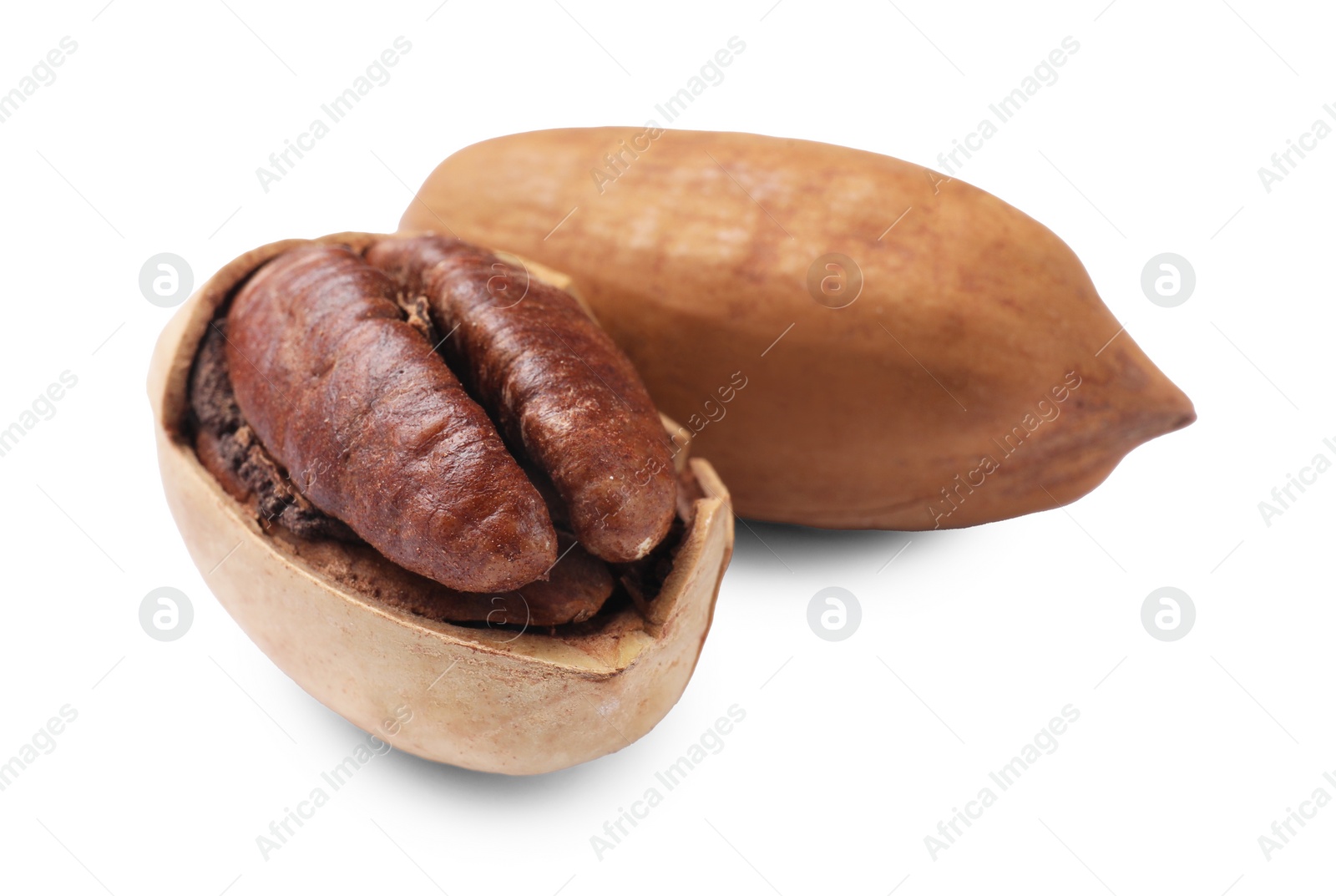 Photo of Two tasty pecan nuts isolated on white